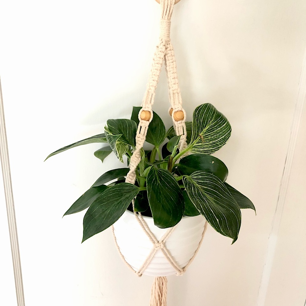 Macrame Plant Hanget